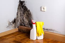 Best Residential Mold Inspection & Testing in Chamberlayne, VA